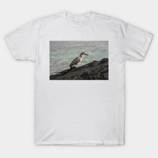 Black-crowned night heron of hawaii 7 T-Shirt